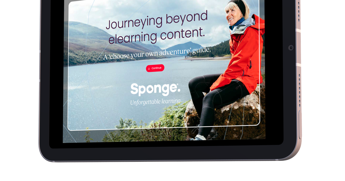 Sponge Learning Journeying beyond elearning content: a ‘choose your own adventure’ guide.