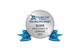 Award brandon hall silver 8